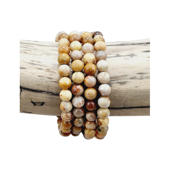 Bracelet corail fossile...