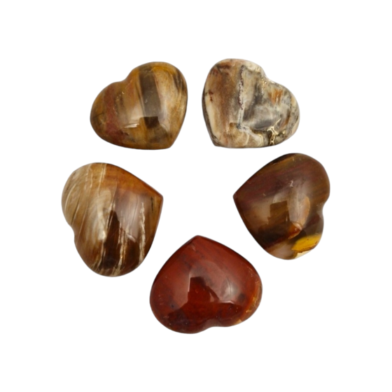 Coeur 3 cm Bois fossile A