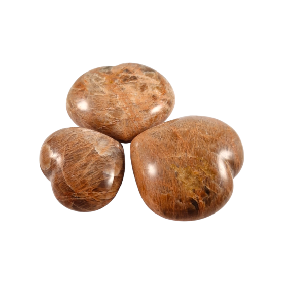 Coeur 5-8 cm Microline A