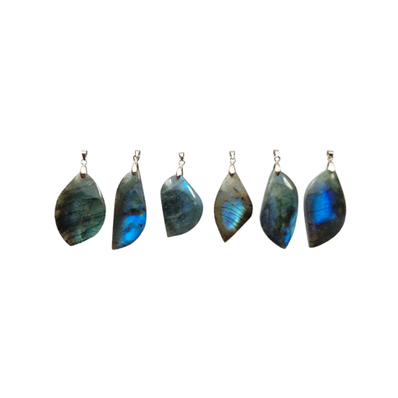 Pendentif feuille...