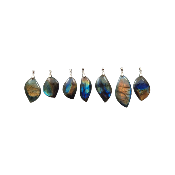 Pendentif feuille...
