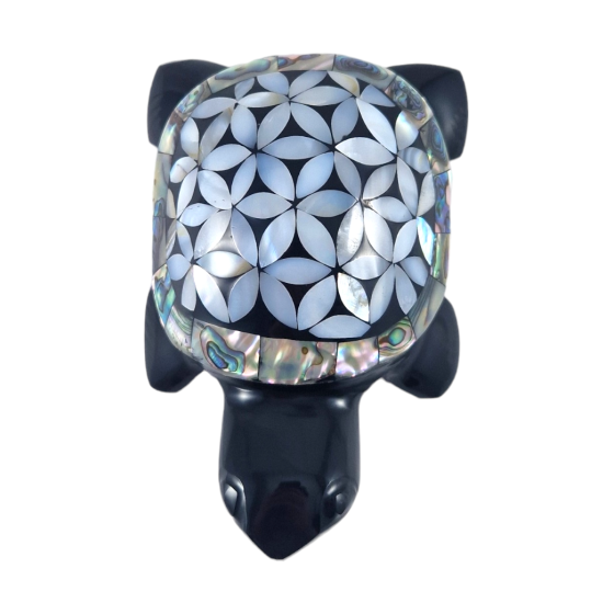 tortue fleur de vie L