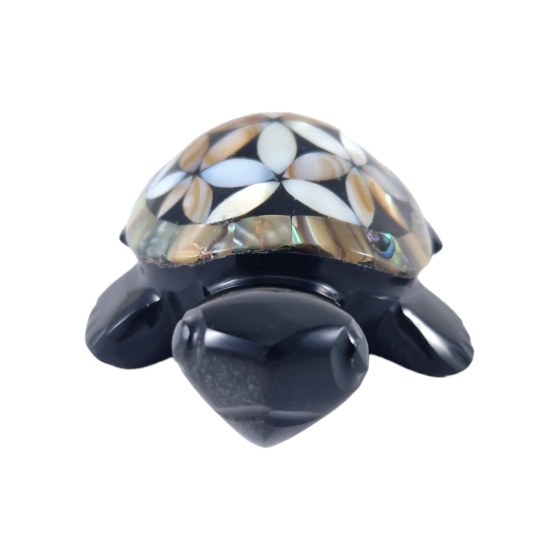 tortue fleur de vie M