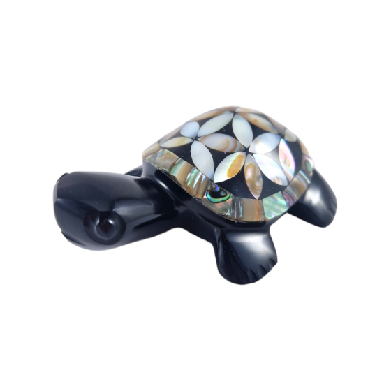tortue fleur de vie M