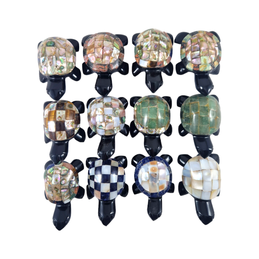 tortue obsidienne nacre S tortue obsidienne nacre S