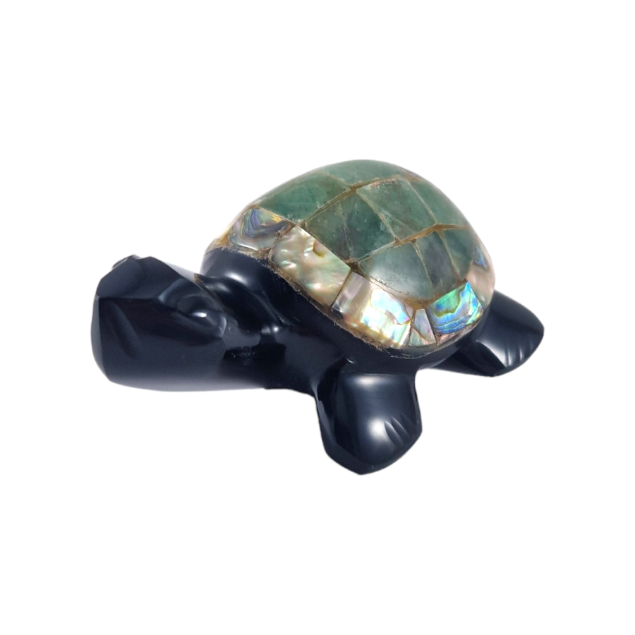 tortue obsidienne nacre M