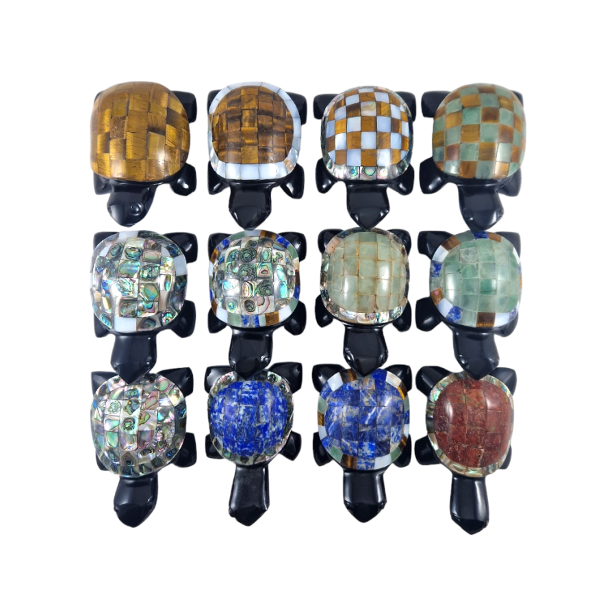 tortue obsidienne nacre S tortue obsidienne nacre S