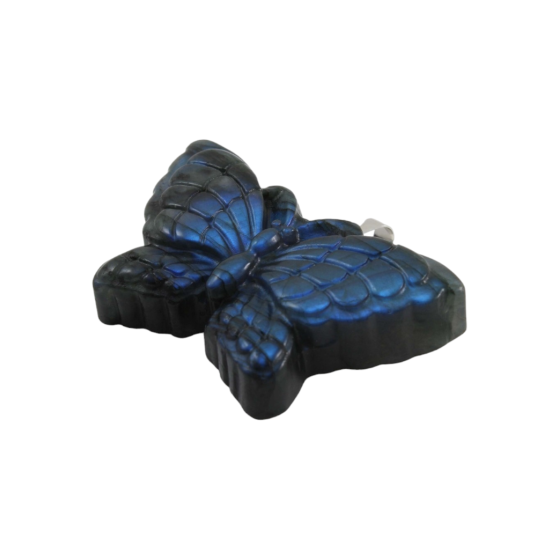 Pendentif papillon...