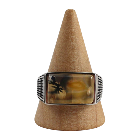 Bague argent homme 4 agate