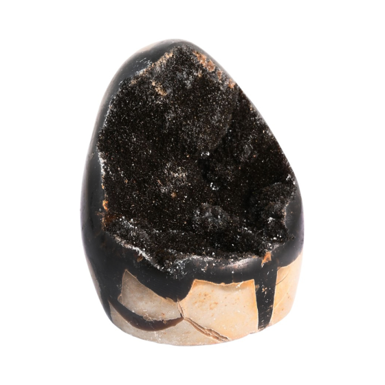 Oeuf septaria sauvage A