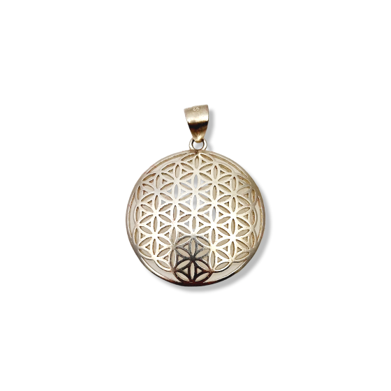 Pendentif Fleur de vie...