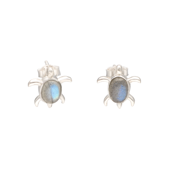 Tortue boucles d'oreilles...