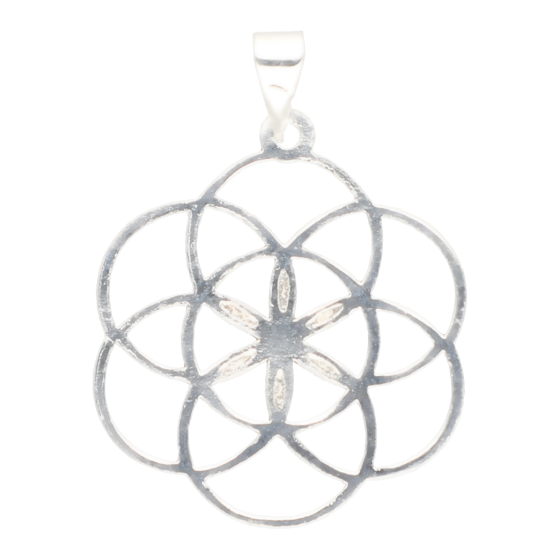 Pendentif graine de vie...