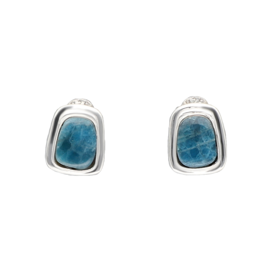 Nina boucles d'oreilles en...