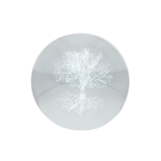 Sphère 3D arbre de vie