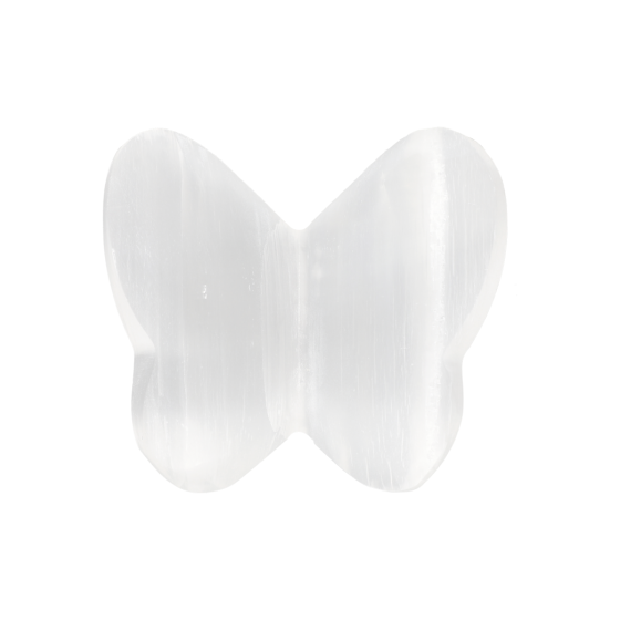 Papillon sélénite