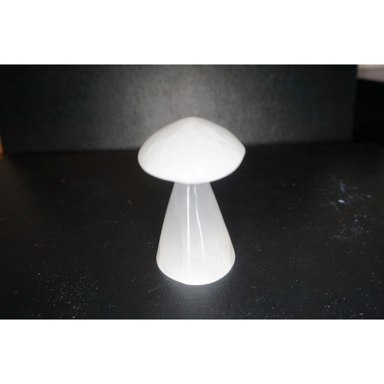 Champignon en Sélénite