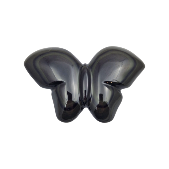 Papillon obsidienne