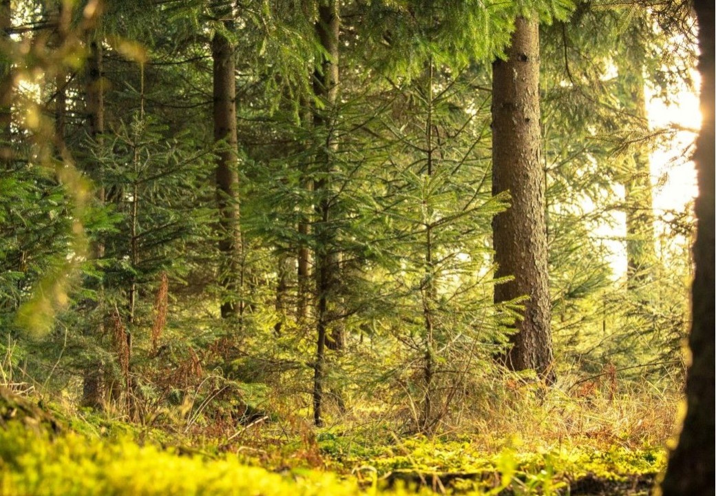 Comment Source de Cristal Contribue à la Protection de l’Environnement