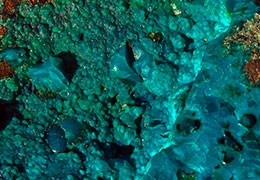 Chrysocolle - HISTOIRE / FORMATION / MINES
