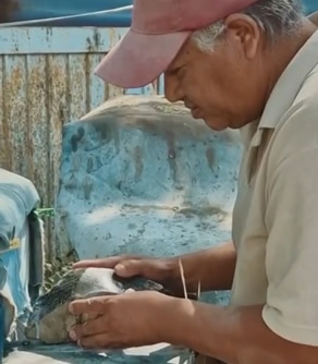 Vidéos - Documentaires